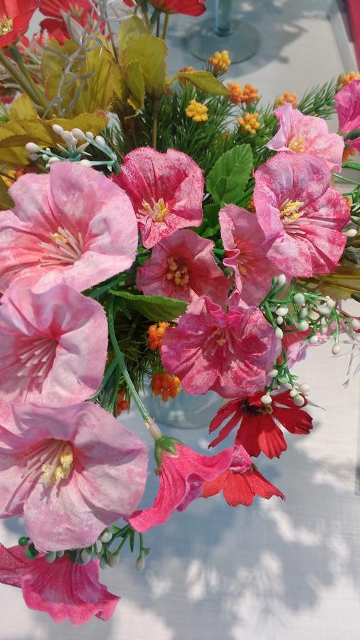 Pousada Dona Quiteria 페냐 외부 사진